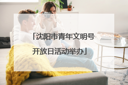 沈阳市青年文明号开放日活动举办