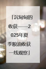 沉甸甸的收获——2025年夏季粮油收获一线观察