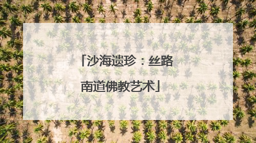 沙海遗珍：丝路南道佛教艺术