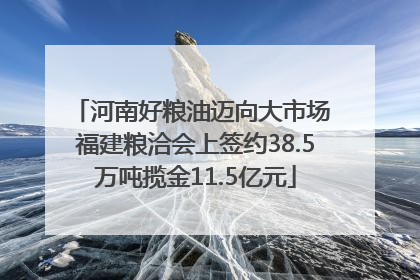 河南好粮油迈向大市场 福建粮洽会上签约38.5万吨揽金11.5亿元