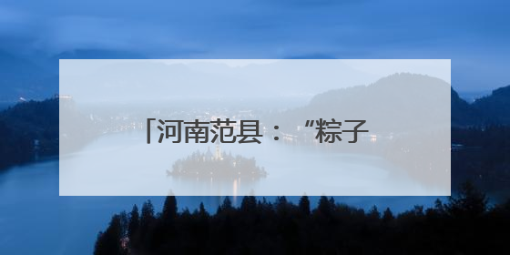 河南范县：“粽子村”香飘振兴路