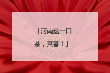 河南这一口茶，真香！