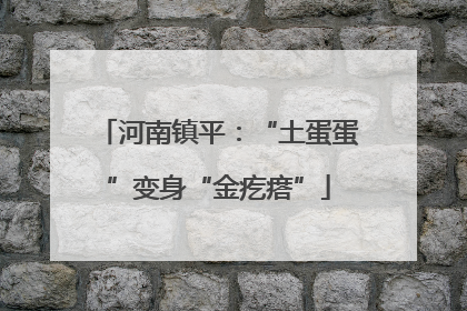 河南镇平：“土蛋蛋”变身“金疙瘩”