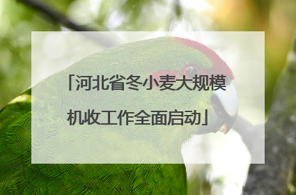 河北省冬小麦大规模机收工作全面启动