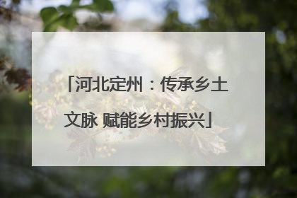 河北定州：传承乡土文脉 赋能乡村振兴