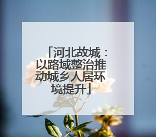 河北故城：以路域整治推动城乡人居环境提升