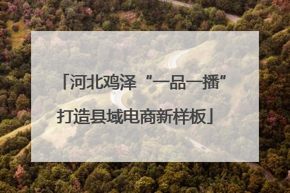 河北鸡泽“一品一播”打造县域电商新样板