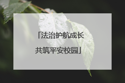 法治护航成长 共筑平安校园