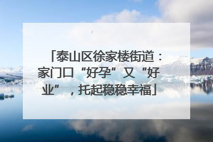 泰山区徐家楼街道：家门口“好孕”又“好业”，托起稳稳幸福