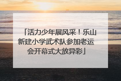 活力少年展风采！乐山新建小学武术队参加老运会开幕式大放异彩