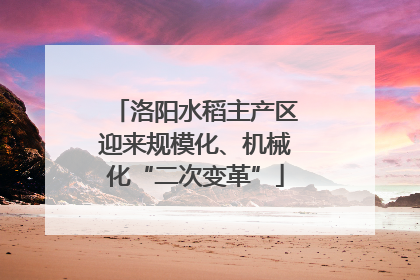 洛阳水稻主产区迎来规模化、机械化“二次变革”