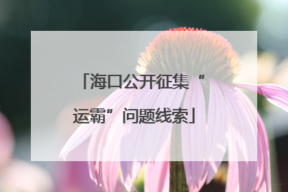 海口公开征集“运霸”问题线索