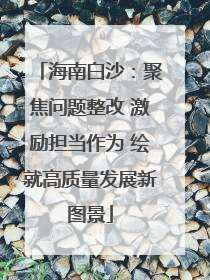 海南白沙：聚焦问题整改 激励担当作为 绘就高质量发展新图景