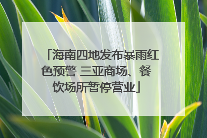 海南四地发布暴雨红色预警 三亚商场、餐饮场所暂停营业