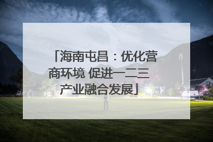 海南屯昌：优化营商环境 促进一二三产业融合发展