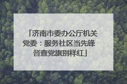 济南市委办公厅机关党委：服务社区当先锋 督查党旗别样红