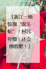 浙江一地惊现“双头蛇”！村民吓懵：还会倒着爬！