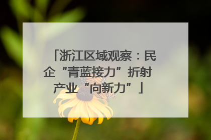 浙江区域观察：民企“青蓝接力”折射产业“向新力”