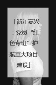 浙江嘉兴：党员“红色专班”护航重大项目建设