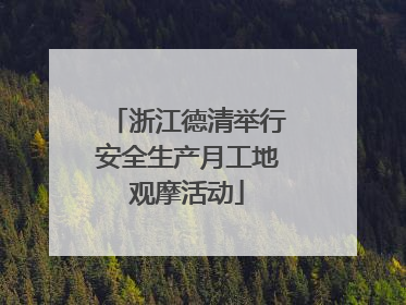 浙江德清举行安全生产月工地观摩活动