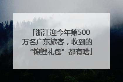 浙江迎今年第500万名广东旅客，收到的“锦鲤礼包”都有啥