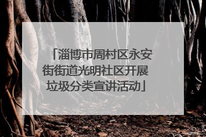 淄博市周村区永安街街道光明社区开展垃圾分类宣讲活动