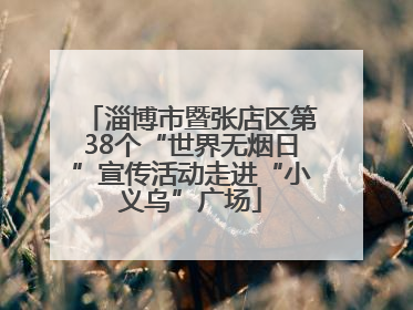 淄博市暨张店区第38个“世界无烟日”宣传活动走进“小义乌”广场