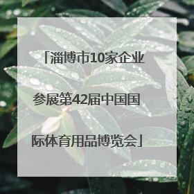 淄博市10家企业参展第42届中国国际体育用品博览会