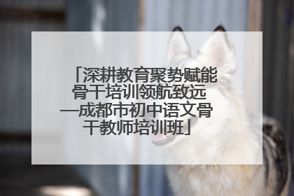 深耕教育聚势赋能 骨干培训领航致远—成都市初中语文骨干教师培训班