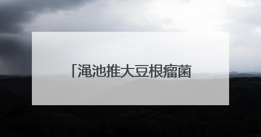 渑池推大豆根瘤菌技术，1.3万亩农田实现“一播全苗、一生节肥”