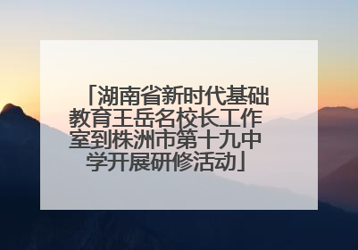 湖南省新时代基础教育王岳名校长工作室到株洲市第十九中学开展研修活动