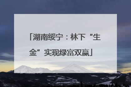 湖南绥宁：林下“生金”实现绿富双赢