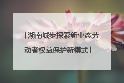 湖南城步探索新业态劳动者权益保护新模式