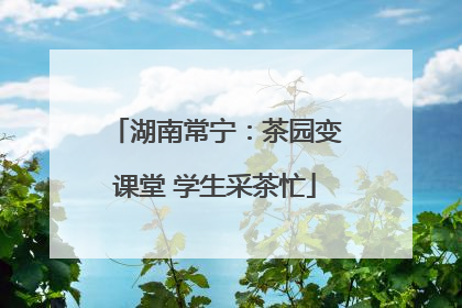 湖南常宁：茶园变课堂 学生采茶忙
