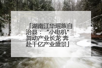 湖南江华瑶族自治县：“小电机”舞动产业长龙 奔赴千亿产业盛景