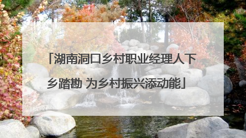 湖南洞口乡村职业经理人下乡踏勘 为乡村振兴添动能