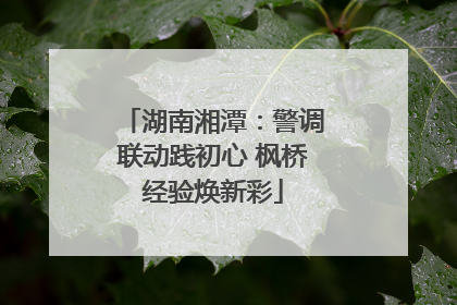 湖南湘潭：警调联动践初心 枫桥经验焕新彩