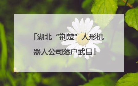 湖北“荆楚”人形机器人公司落户武昌