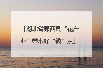 湖北省郧西县“花产业”带来好“钱”景