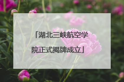 湖北三峡航空学院正式揭牌成立