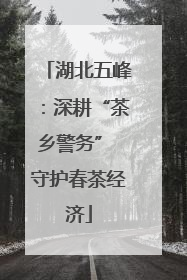湖北五峰：深耕“茶乡警务” 守护春茶经济