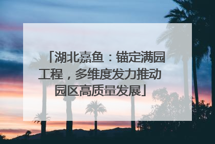 湖北嘉鱼：锚定满园工程，多维度发力推动园区高质量发展