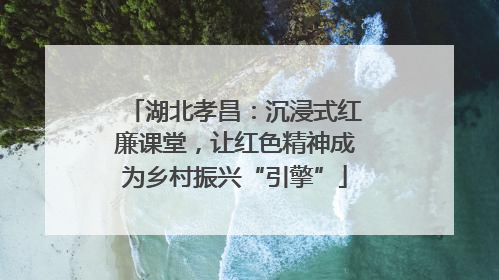 湖北孝昌：沉浸式红廉课堂，让红色精神成为乡村振兴“引擎”