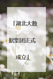 湖北大数据集团正式成立