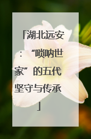 湖北远安：“唢呐世家”的五代坚守与传承