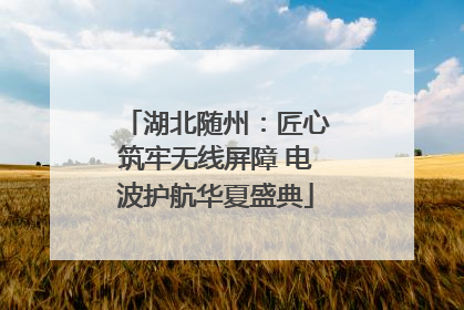 湖北随州：匠心筑牢无线屏障 电波护航华夏盛典