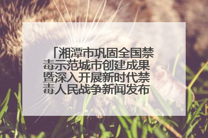 湘潭市巩固全国禁毒示范城市创建成果暨深入开展新时代禁毒人民战争新闻发布会答记者问摘录