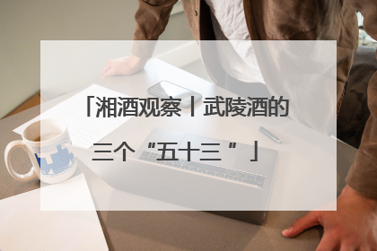 湘酒观察丨武陵酒的三个“五十三 ”