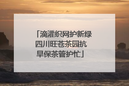 滴灌织网护新绿 四川旺苍茶园抗旱保茶管护忙