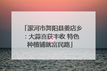 漯河市舞阳县姜店乡：大蒜喜获丰收 特色种植铺就富民路